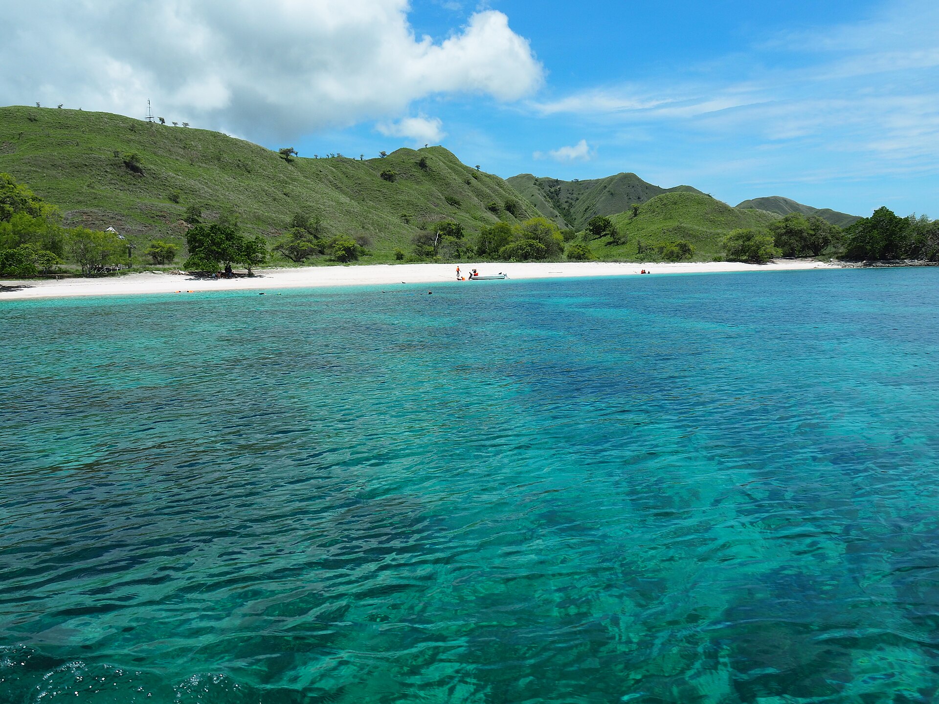 Pink-sand shoreline meeting clear turquoise water at Pink Beach in Komodo National Park