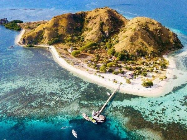 The Best Komodo Liveaboard: Budget, Luxury, and Families